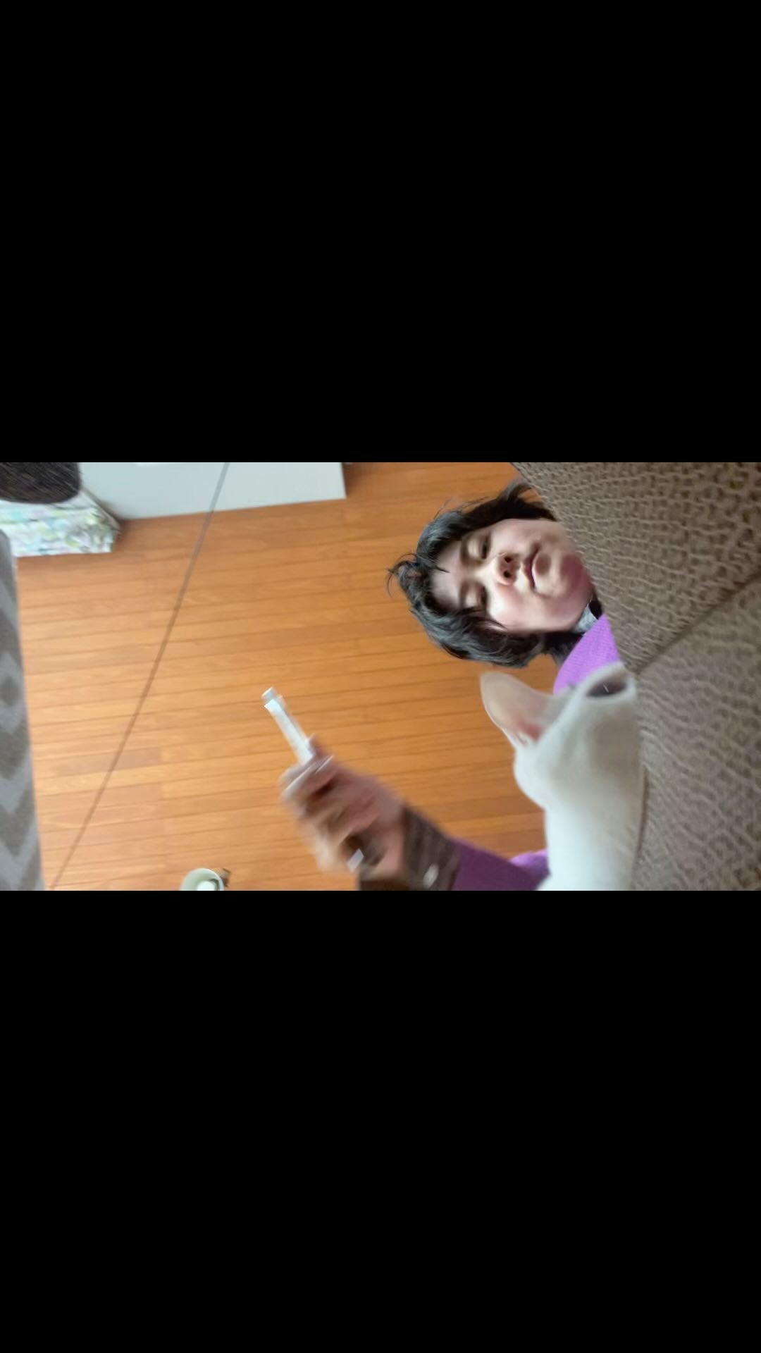 爪とぎの組み立てを邪魔するねこ様😅

#ねことの暮らし 
#猫との生活 
#白猫部 
#こどもとねこの生活 
#子供と猫 
#しろねこ部 
#ネコ部 
#ねこのいる生活 
#ねこすたぐらむ 
#ねこと暮らす家 
#ねこすたグラム 
#ねこがすき 
#猫すたぐらむ 
#猫とおうち時間 
#猫あるある